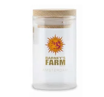 Glass Jars - Large - Image 1