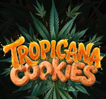 Tropicana Cookies Auto - Image 1