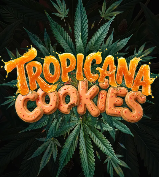 Tropicana Cookies Auto - Main Image