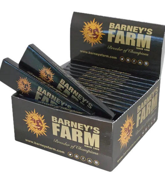 Organic Rolling Papers with Filter Tips - Box of 26 - Main Image