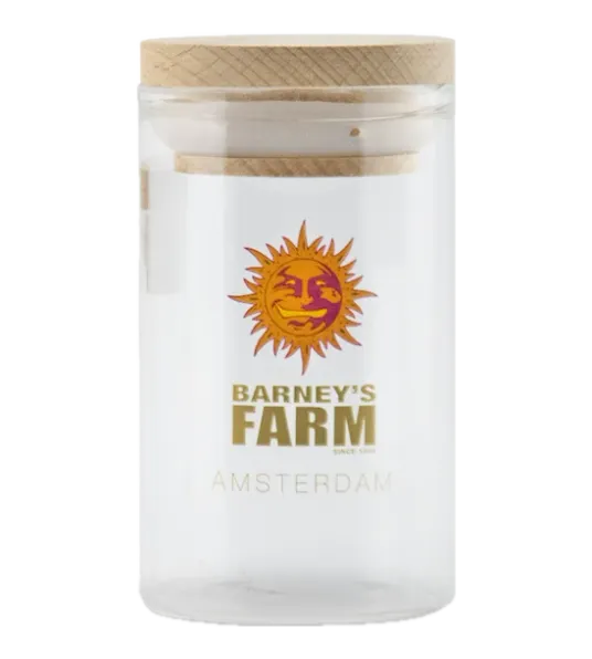 Glass Jars - Large - Main Image