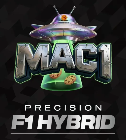 MAC 1 - Main Image