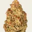 Strawberry Lemonade - Image 5