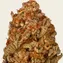 Purple Punch - Image 5