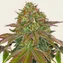 Wedding Cake - Image 1