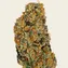 Watermelon Z - Image 4