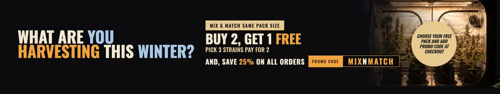 Sept 25 Discount