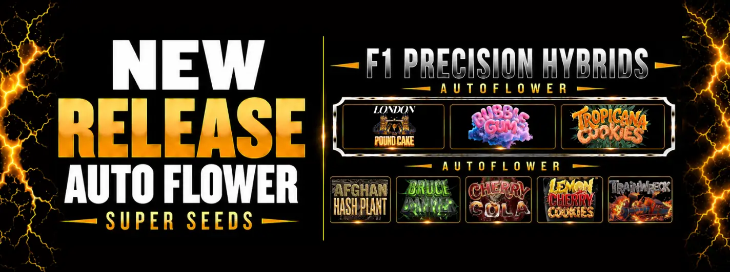 New Autoflowers