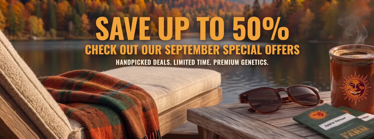 Autumn 50%