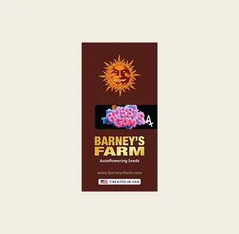 Autoflower Seeds