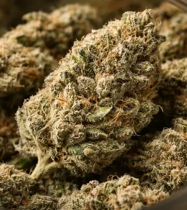 Cured weed