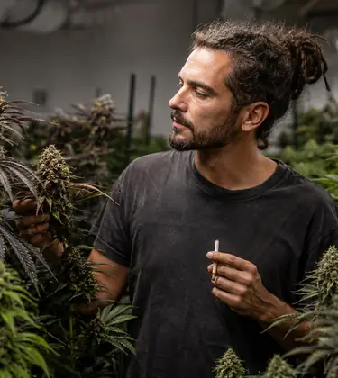 Polyhybrid Strains