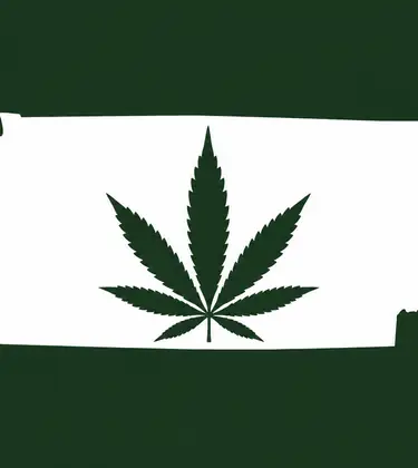 White silhouette of Tennessee on a dark green background, with a dark green cannabis leaf centered inside the state outline.