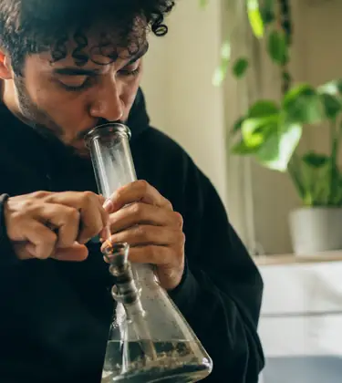 Cannabis Quality Tiers