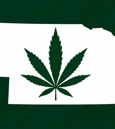 White silhouette of Nebraska on a dark green background, with a dark green cannabis leaf centered inside the state outline.