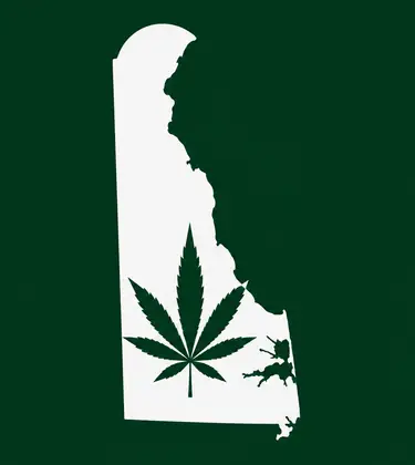 White silhouette of Delaware on a dark green background, with a dark green cannabis leaf centered inside the state outline.
