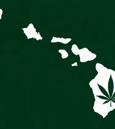 White silhouettes of the Hawaiian Islands on a dark green background, with a dark green cannabis leaf centered inside the Big Island.