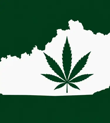White silhouette of Kentucky on a dark green background, with a dark green cannabis leaf centered inside the state outline.