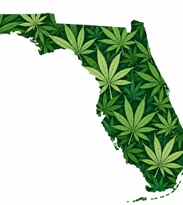 Florida state outline filled with a green cannabis leaf pattern on a white background.