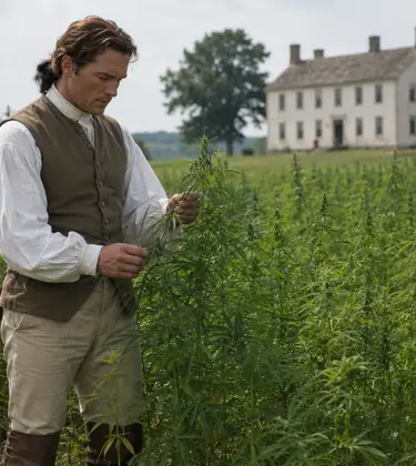 Colonial-era farmer examining hemp plants in a field beside a historic American estate.