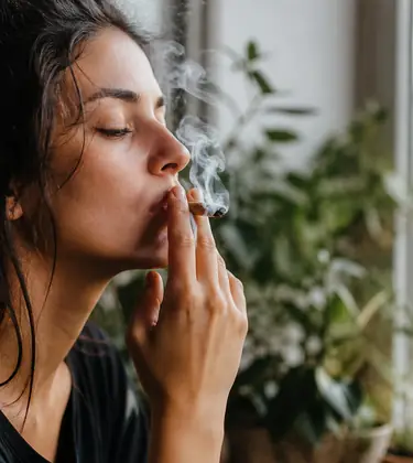 Endocannabinoid System