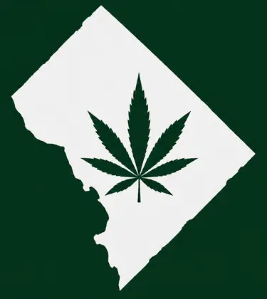 Cannabis leaf inside a white map silhouette of Washington DC on a dark green background