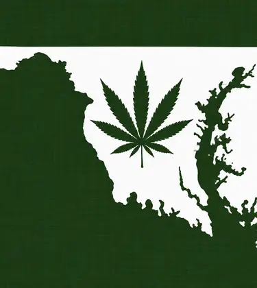 White silhouette of Maryland on a dark green background, with a dark green cannabis leaf centered inside the state outline.