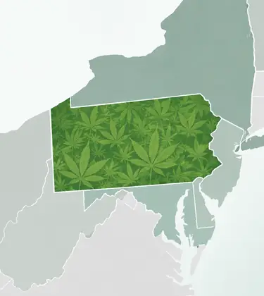 Simple map of the northeastern United States with Pennsylvania highlighted and filled with a green cannabis leaf pattern.