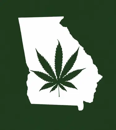 White silhouette of Georgia on a dark green background with a dark green cannabis leaf centered inside the state outline.