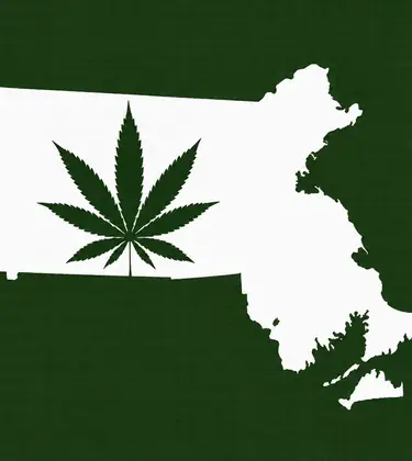 White silhouette of Massachusetts on a dark green background, with a dark green cannabis leaf inside the state outline.