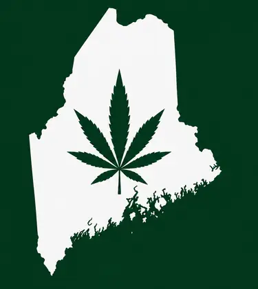 White silhouette of Maine on a dark green background, with a dark green cannabis leaf centered inside the state outline.