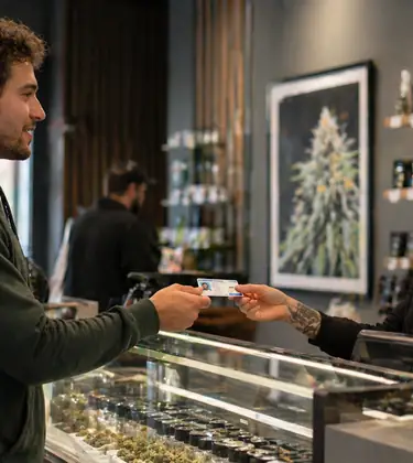 Cannabis Age Law