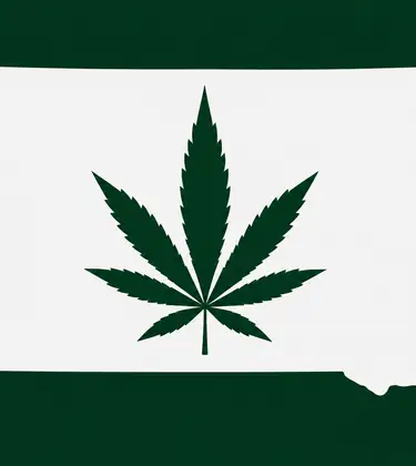 White silhouette of South Dakota on a dark green background, with a dark green cannabis leaf centered inside the state outline.