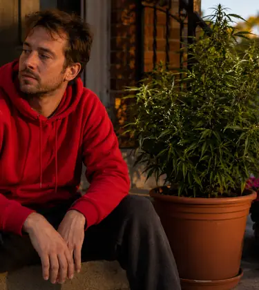 Man in a red hooded sweatshirt sitting on his front steps at sunset with car keys beside him and a cannabis plant in a pot.