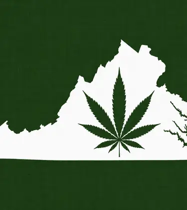 White silhouette of Virginia on a dark green background, with a dark green cannabis leaf centered inside the state outline.