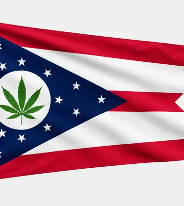 Ohio-style swallowtail flag with a green cannabis leaf replacing the central red circle, shown on a plain light background.