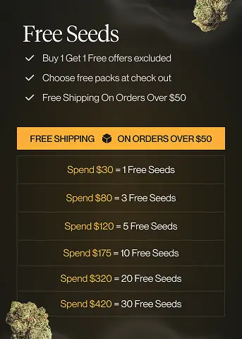 Buy Lemon Cherry Gelato Strain Seeds | USA