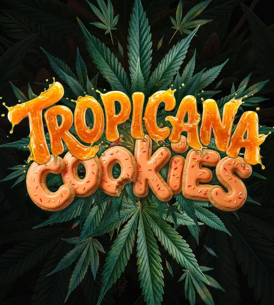Tropicana Cookies Auto - Main Image