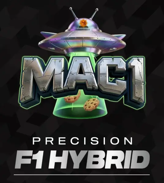 MAC 1 - Main Image
