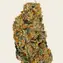 Watermelon Zkittlez - Image 3
