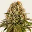 Strawberry Lemonade - Image 1