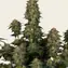 Moby Dick Auto - Image 5