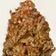 Purple Punch - Image 4