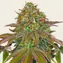 Wedding Cake - Image 1