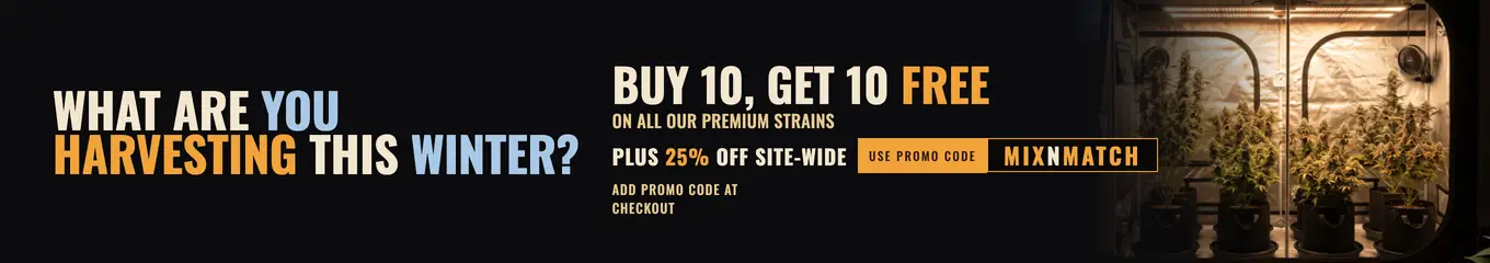 Free Seed