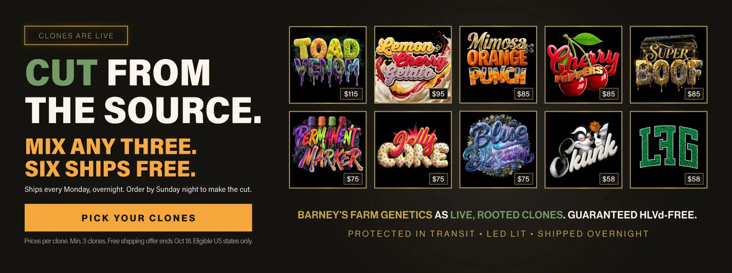 Home Page Clone Launch