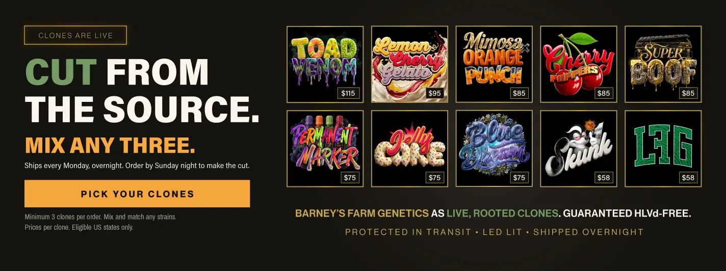 Home Page  - Clone Launch