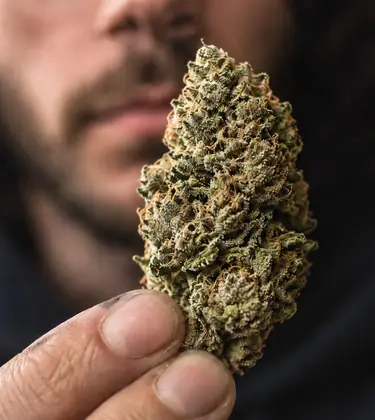 Trichomes