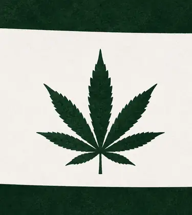 White silhouette of Colorado on a dark green background, with a dark green cannabis leaf centered inside the state outline.