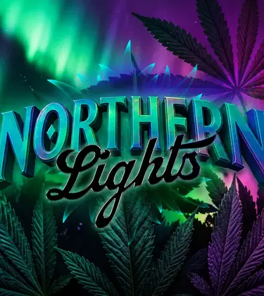 Northern Lights